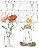 Solide et durable : Les petits vases sont fabriqués en verre épais et conservent leur forme et qualité même après de multiples utilisations, pour une longue durée de vie.