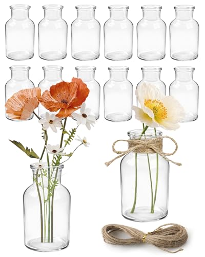 Uppsättning om 12 små glasvaser 125 ml med 5 m jutesnöre, diskmaskinssäker, bordsdekoration, blomvaser, mittpunkter, bröllop, fest, hem- och festdekoration