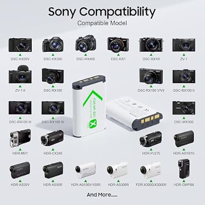 NP-BX1 Camera Battery (2 Pack) and 2-Channel USB Charger for Sony NP-BX1/M8, ZV-1, ZV-1F, ZV-1 II, Cyber-Shot DSC-HX80, HX90V, HX95, HX99, HX350, RX1, RX1R II, RX100 (II/III/IV/V/VA/VI/VII), AS300