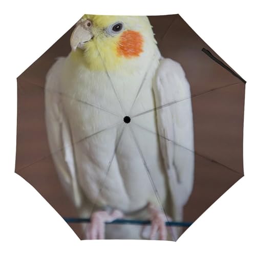 Parapluie pliant coupe-vent calopsitte et perruche imperméable de voyage