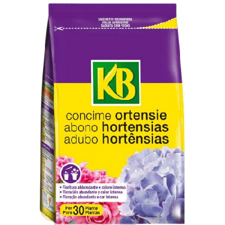 Concime Ortensie 2x800 g – Pacco Risparmio 1,6 kg | Ideale per Trapianto e Acidofile | Ortensie, Azalee, Rododendri, Camelie | Colori Intensi + Radici Forti | Assistenza Agraria Inclusa - KB