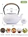 Sotya Cast Iron Teapot, 40oz/1200ml Japanese Tetsubin Tea Pot with Infuser for Loose Leaf and Tea Bags, Tea Kettle Coated with Enameled Interior for Stove Top, White