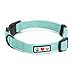 Pawtitas Dog Collar for Large Dogs Training Puppy Collar with Solid - L - Teal