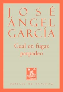 Cual en Fugaz Parpadeo