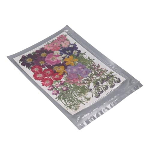 Flores Secas Prensadas, 18 Tipos de Flores Prensadas Elegantes e Versáteis Com 2 Adesivos para Artes