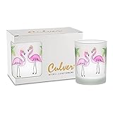 Culver Tropical Decorated Frosted Double Old Fashioned Tumbler Glasses, 13.5-Ounce, Gift Boxed Set of 2 (Fedora Pink Flamingos)