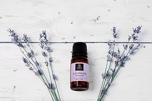 Orient Therapy Pure Lavender Essential Oil - Undiluted, Non-Gmo, Organic Aromatherapy Oil - Soothing & Calming Oil For Massage, Aromatherapy, Diy, Soap & Diffuser - Long-Lasting Scent, 0.34 Fl. Oz #TOP4