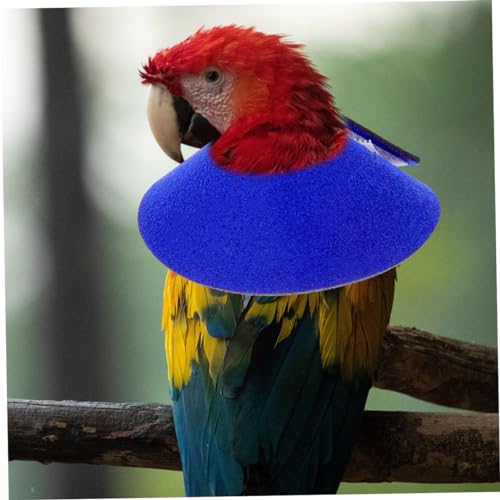 Beavorty coleira de passarinho cones de pássaros decoração de pescoço de pássaro Protetor de pescoço