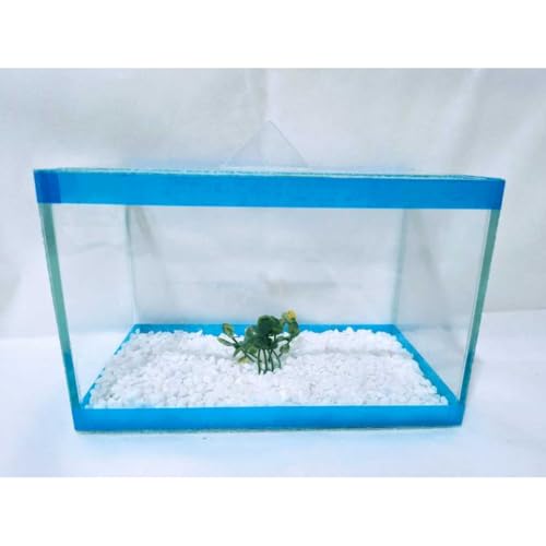 Aquário Retangular - 2,28Lts N.1 com Pedra, Planta e Ração(Preto)