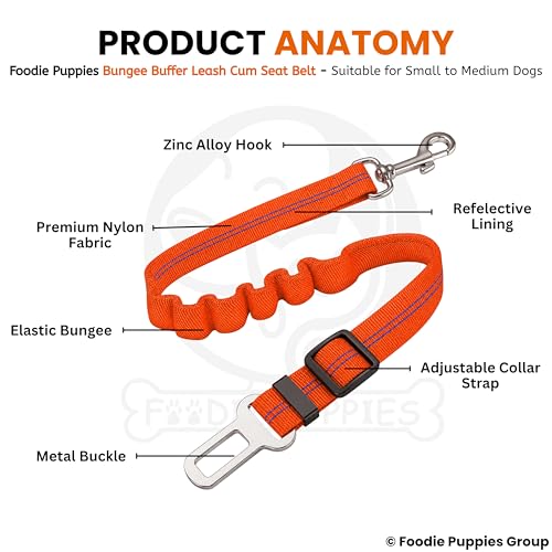 Image of Foodie Puppies 3-in-1 Reflective Dog Car Safety Harness Leash with Adjustable Bungee Seat Belt Strap, 360 Swivel Carabiner & Quick Release Buckle for Safe Car Travel, Walking (Colour May Vary)