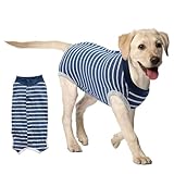 DORKIN Trajes recuperación quirúrgica caninos, ropa de convalecencia postoperatoria para perros, hipoalergénicos y protectores de heridas (rayas azules, talla L)