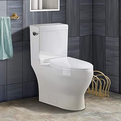 Fine Fixtures Modern Two Piece Elongated Toilet Ada Compliant, White