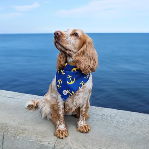 Bandana pour chien bleu à ancres et baleines taille L - 8
