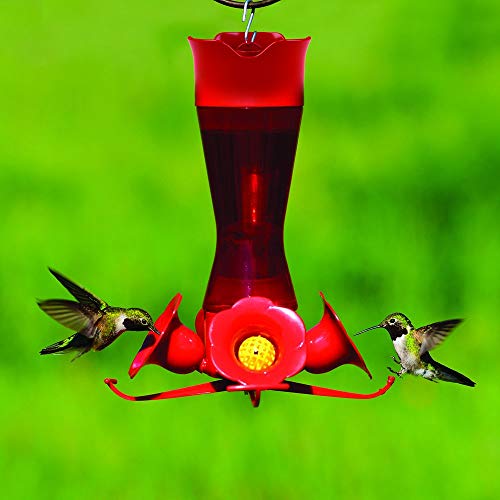 Perky-Pet Premium 2-Pack 403CP Pinch Waist Plastic Hummingbird Feeder, 8-Ounce