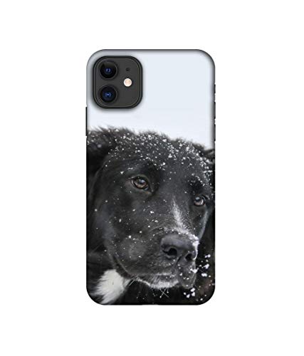 Image of Amazon Brand - Solimo Designer Labrador Dog 3D Printed Hard Back Case Mobile Cover for Apple iPhone 11