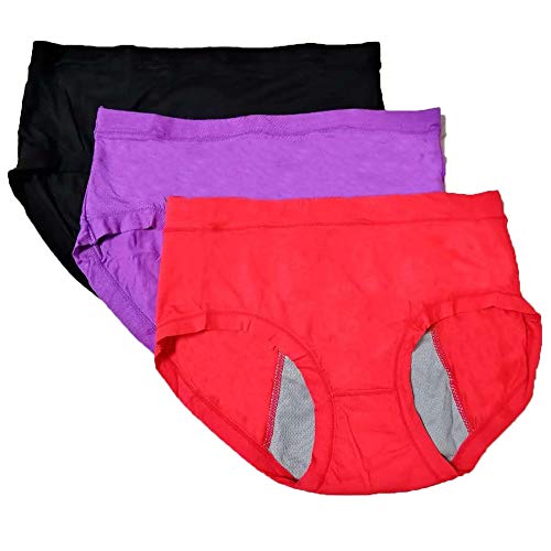 Women Underwear Girls Brief Bamboo Viscose Fiber Ladies Panties Multi Pack (Multicolor, 5)
