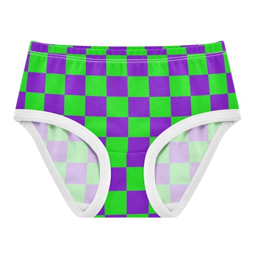 Purple and Green Buffalo Checkered Toddler Girls's Underwear 2T