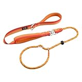 Arblina Slip Leads Dog Leash, No Pull Reflective Rope Leash with Double Handle, 360°Swivel Anti-Tangle Heavy Duty Traning Lead for Large Medium Small Dogs,4FT