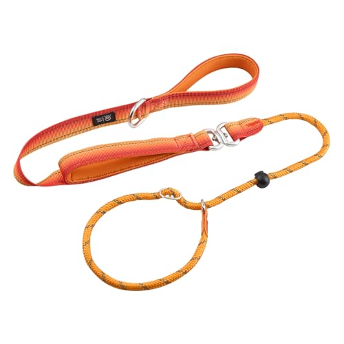 Arblina Slip Leads Dog Leash, No Pull Reflective Rope Leash with Double Handle, 360°Swivel Anti-Tangle Heavy Duty Traning Lead for Large Medium Small Dogs,4FT