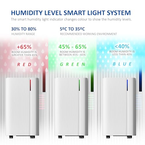 Netta 12L/Day Compressor Quiet Dehumidifier, Powerful Mould Remover & Laundry Drying With 24-Hour Timer And Sleep Mode For Damp, Mould And Condensation - 4