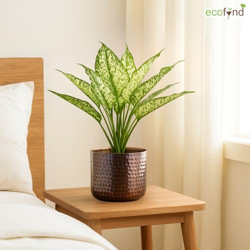 Image of ecofynd 5.5 inches Adam Metal Plant Pot, Decorative Modern Indoor Planter Flower Pots, Home Garden Decor Planter for Living Room Bedroom Interior, Pack of 1 (Copper, POT041)