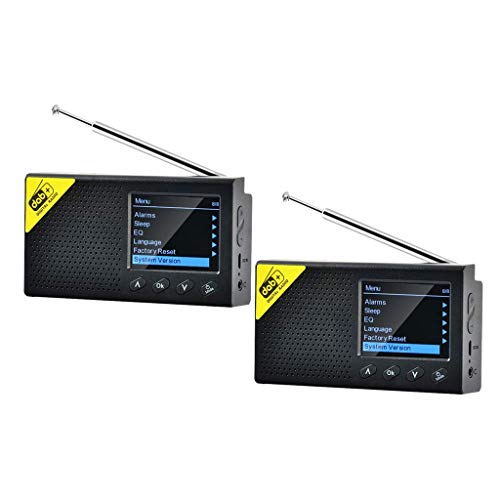 2X House DAB Digitalradio mit Antennen-FM-Empfängerbatterie