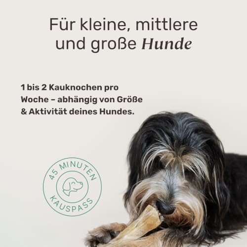 mammaly Fresh Bone+® Zahnpflege-Kauknochen mit Pansen für Hunde (12cm)