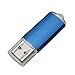 RAOYI 10 Pack 2G 2GB USB Flash Drive USB 2.0 Memory Stick Thumb Drive Pen Drive Blue
