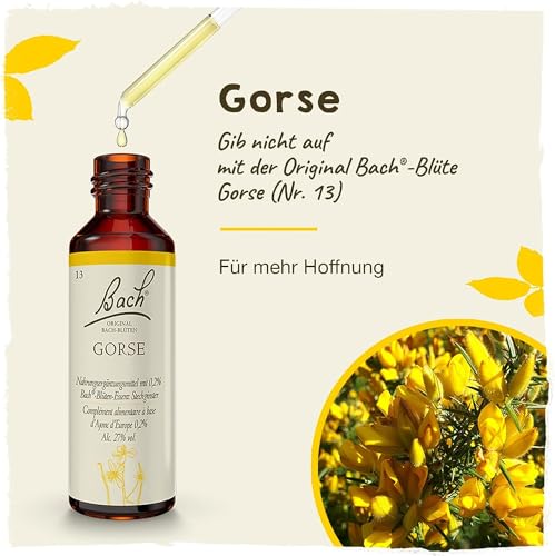 Original Bachblüten Tropfen Nr. 13 Gorse: Neue Kraft und positive Gedanken mit der Bach-Blüte Stechginster, 20ml