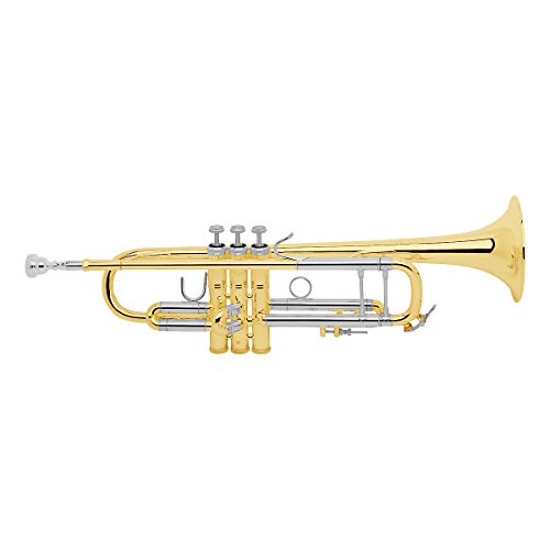 Bach 18037 Stradivarius