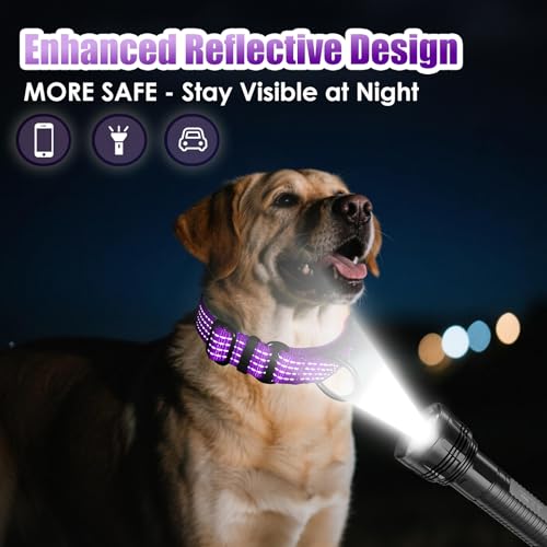 Image of Martingale Dog Collar, Reflective No Pull with Buckle,Purple, XS | Escape Proof without choking ,Training Collar with Quick Release Buckle, Adjustable Heavy Duty Nylon collars for S M L Dogs