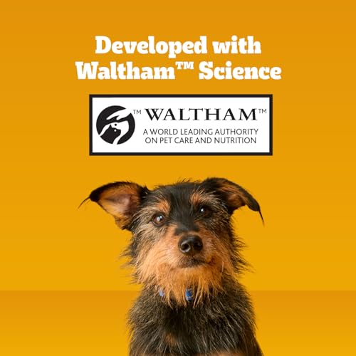 Pedigree Dentastix Large Dog Treats, Original, Beef & Fresh, 2.73 lb. Variety Pack (51 Treats Total) #5