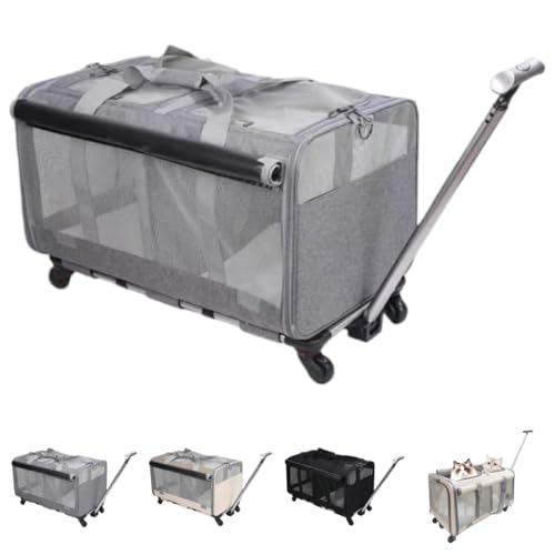 LightRiseybgL[obN 2CLpE^^Le 2̕ O\Ȏd؂胊[htω׏d16kgLkg[ LX^[t ybgL[J[g 􂦂 ܂肽ݎʔLpsobOAjo[TzC[AʋCA|[^