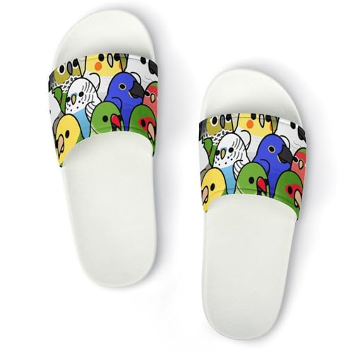 [RFSHOPQQ] �X���b�p ���� �J���t�� �I�E�� �R���S�E�C���R ���O�p ���f�B�[�X �����Y ���[���V���[�Y �n�E�X�X���b�p ����~�ߕt �É� �y�� �t�ďH�p �j�����p ���l ���� ���q�p �����p 40(250mm)