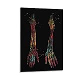 kikiki Medizinische und wissenschaftliche Kunst, Armknochen, Poster, Wandkunst, Bild, Malerei, Poster, Leinwanddruck, Poster Artwo