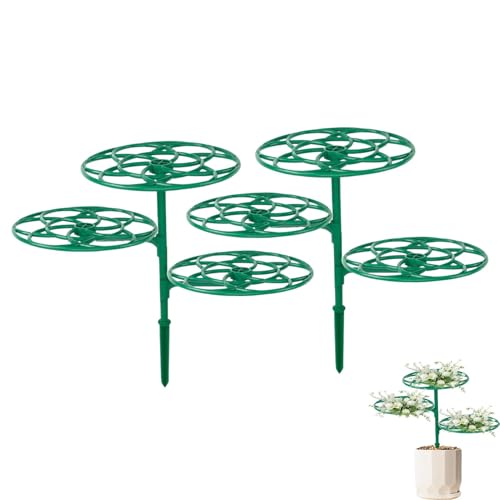 Sghtil Postes de soporte para flores, soporte para plantas al aire libre - 2 soportes para plantas, enrejado de escalada para macetas para plantas pequeñas, verduras, plantas de interior