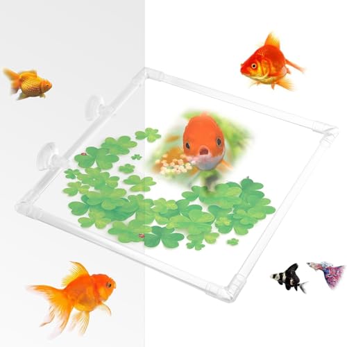 Anillo Flotante para Acuario - Alimentador De Alimento para Peces, Accesorio De Alimentación Betta | Soporte De, Corral Flotante para Plantas, Círculo Acrílico Alimentación De Ta