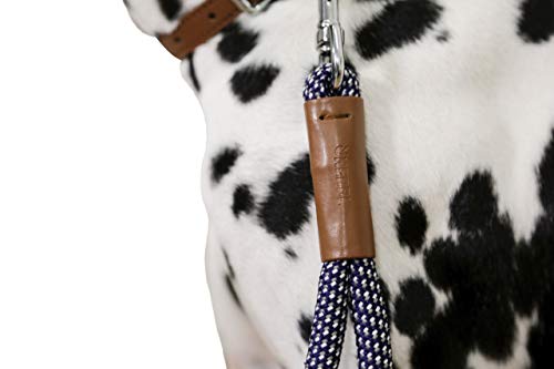 Kerbl Pet Kurzführer Phoenix, blau 14 mm x 35 cm