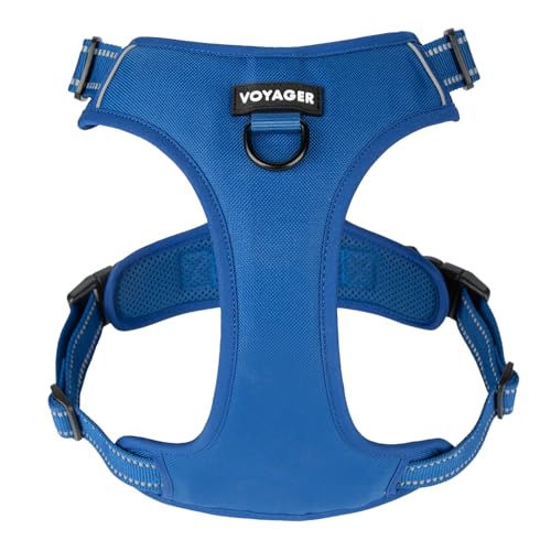 Voyager No Pull Dog Harness for Medium and Large Dogs, Dual Leash Attachments, Adjustable Soft but Strong Pet Harness with 3M Reflective Technology, Royal Blue Lattice Nylon, S (Chest: 16 - 20")
