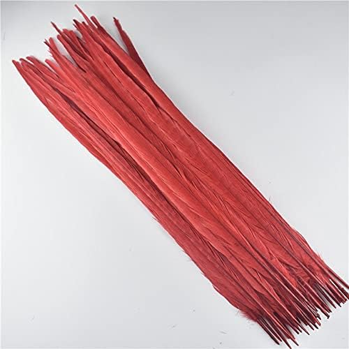 40-45CM 16-18 inch ; Ringneck Pheasant Tail Feathers for Crafts Black White Long Natural Pheasant Feathers Decoration Carnival Plumas - 10 Piece
