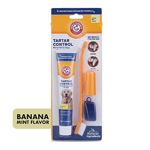 Image of Arm & Hammer Tartar Control Dog Dental Kit, Banana Mint, 3-Piece, 2-Pack