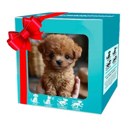 Generisch Roboterhund Für Erwachsene, Neuer,...