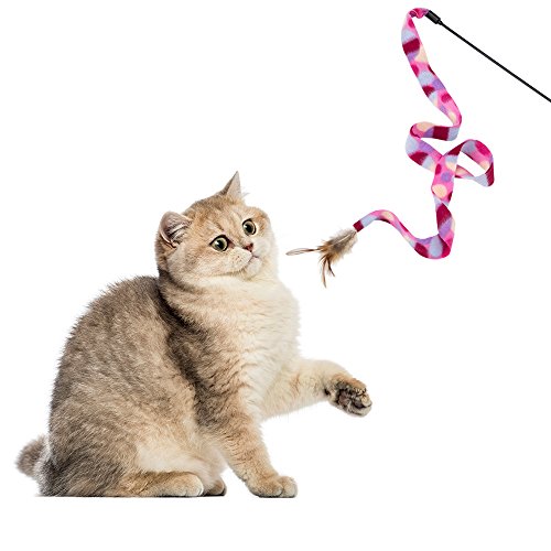 Weebo Pets Interactive Teaser Wand Cat Toy With Feather #TOP2