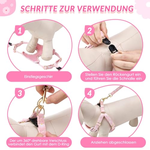 Eyein Hundegeschirr Kleine Hunde mit Leine, Atmungsaktiv Air Mesh Brustgeschirrmit reflektierenden Streifen, Verstellbarer Step-in Geschirr für extra kleine/kleine mittelgroße Hunde (Rosa, XXS)