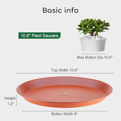 GROWNEER 6 Pack 25 CM Orange Plastic Plant Saucer Trays, Heavy Duty Pot Drip Trays for Indoor & Outdoor Flower Planters
