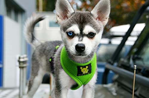 Image of Classic Dog Harness Innovative Mesh No Pull No Choke Design Soft Double Padded Breathable Vest for Eco-Friendly Easy Control Walking Quick Release Puppies Toy Breeds & Extra-Small Dogs (XS, Green)