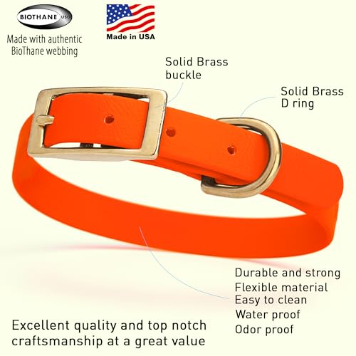 Image of Viper Biothane Heavy Duty Waterproof Dog Collar Strong Coated Nylon Webbing w /Solid Brass Hardware Odor-Proof Easy to Clean High Performance Fits Small Medium or Large Dogs, Hunter Orange