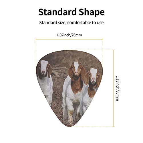 Smiling Goats Lot de 12 médiators pour guitare basse électrique acoustique - Les Beatles, Paul McCartney, John Lennon, RIngo Starr, George Harrison Smiling Goats Lot de 12 médiators pour guitare basse électrique acoustique – Image 5