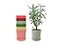 LUXEHOME 5.3 Inch Adorable Sturdy Plant Pot with Saucer; Multi-Colors Plant-Friendly Flower Pot with Drainage Hole Set of 8