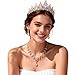 Gold Tiaras Crown And Jewelry Sets for women,Tiaras Earrings and Necklace for Wedding, Birthday,Rhinestone Crystal Bridal Jewelry Sets for Costume Birthday Party Prom (Gold White)